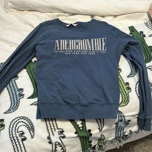 Abercrombie and Fitch Blue Sweatshirt